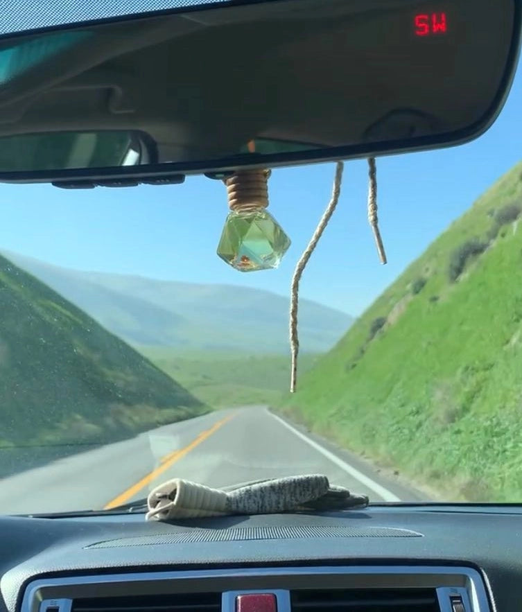 Scented Car Diffusers | Air Fresheners